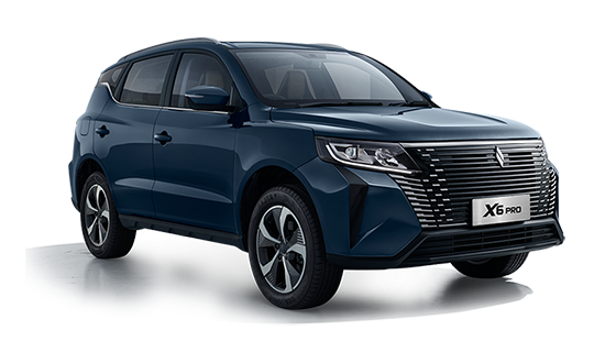 Livan X6 Pro 1.5 T DCT Luxury